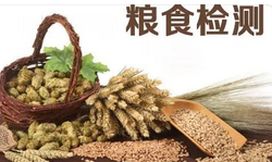 糧食檢測(cè)儀器有哪些？