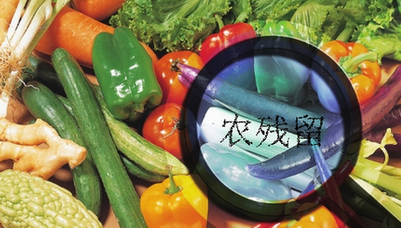 農(nóng)藥殘留檢測(cè)儀結(jié)果無法上傳是什么原因？農(nóng)藥殘留檢測(cè)儀的故障排除方法